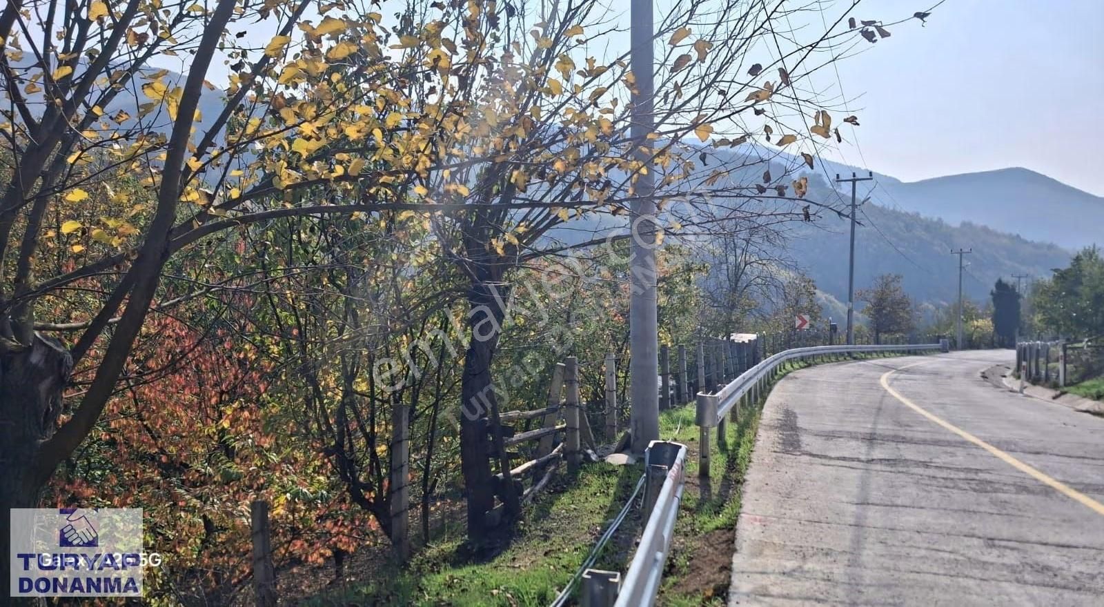 Turyap Donanma'dan Sanaiye Köyünde Satılık 343 M2 Tarla