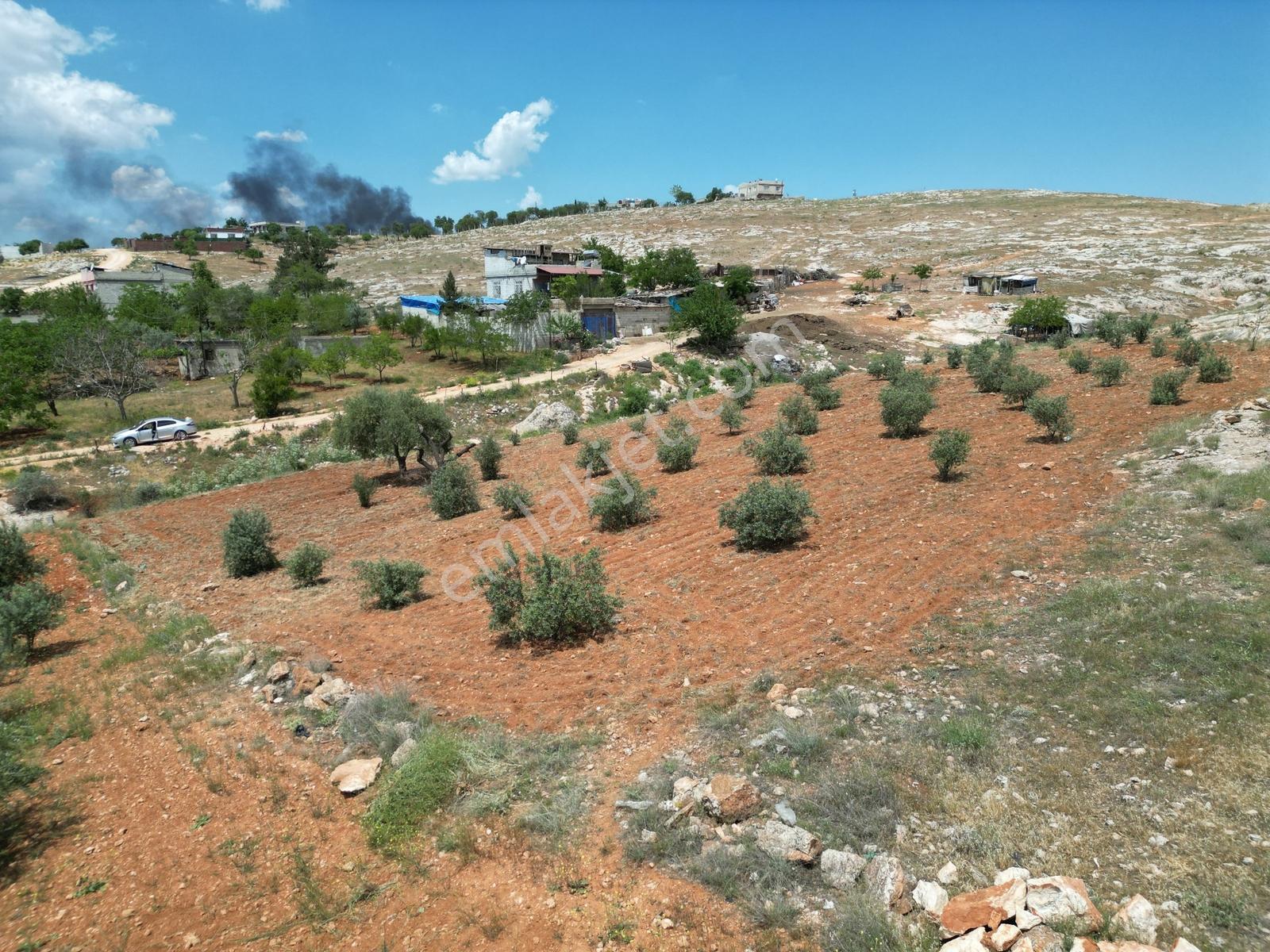 Şahinbey Osmanlı Kurtuluş Mah. 5 Kat İmarlı Arsa- Hisse Tapulu