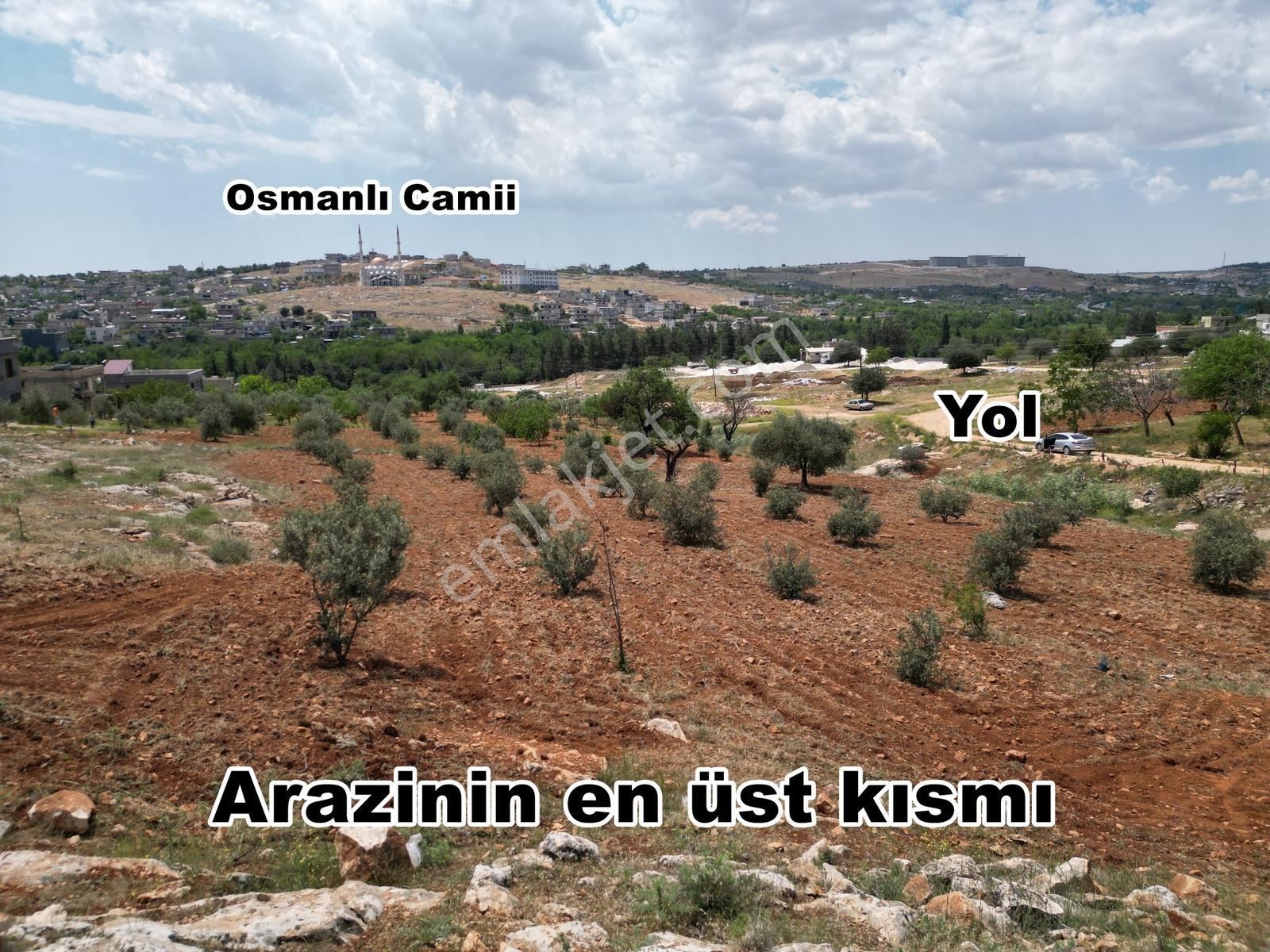 Şahinbey Osmanlı Kurtuluş Mah. 5 Kat İmarlı Arsa- Hisse Tapulu - Görsel 8