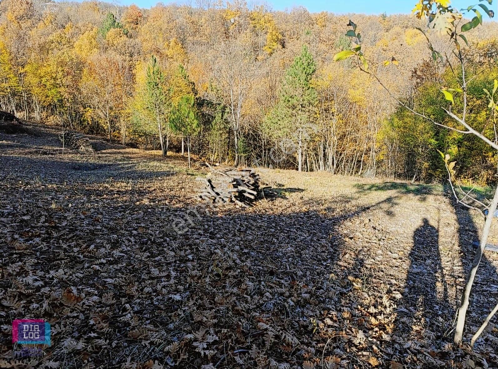 Dialog Skala'dan Kestel Lütfiye Köyünde Satılık 3145 M2 Tarla - Görsel 4