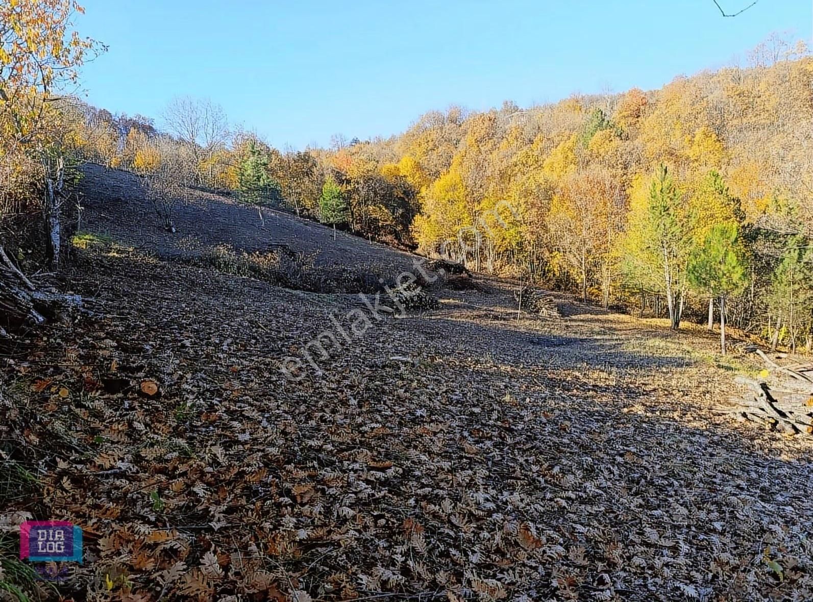 Dialog Skala'dan Kestel Lütfiye Köyünde Satılık 3145 M2 Tarla - Görsel 2