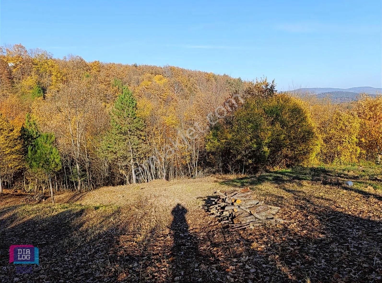 Dialog Skala'dan Kestel Lütfiye Köyünde Satılık 3145 M2 Tarla