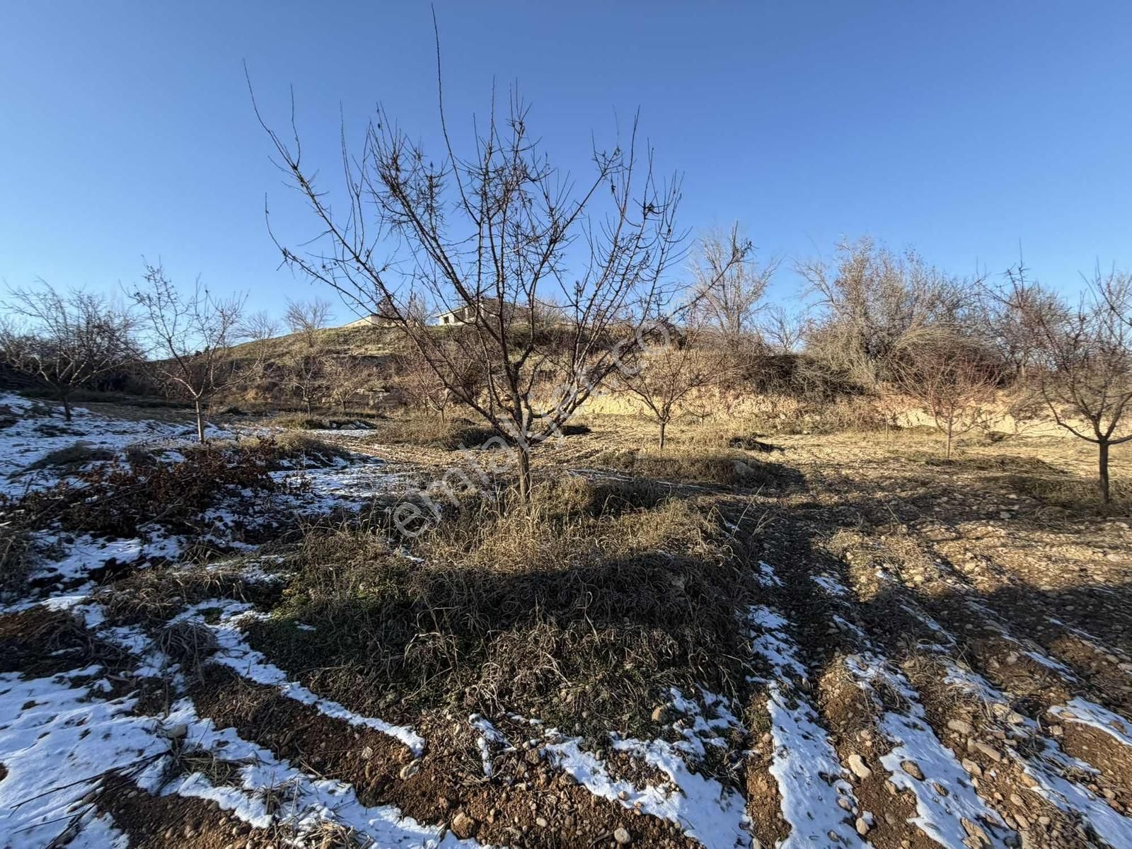 Şahnahan Merezde İmar Aşamasında Satılık Yatırımlık Bahçe - Görsel 14