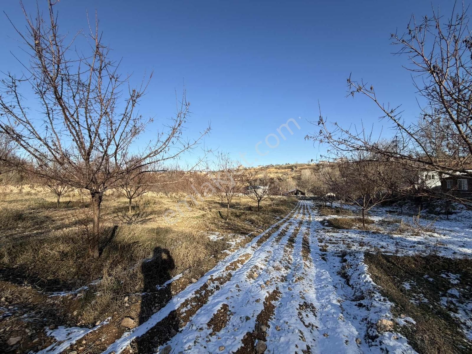 Şahnahan Merezde İmar Aşamasında Satılık Yatırımlık Bahçe - Görsel 4