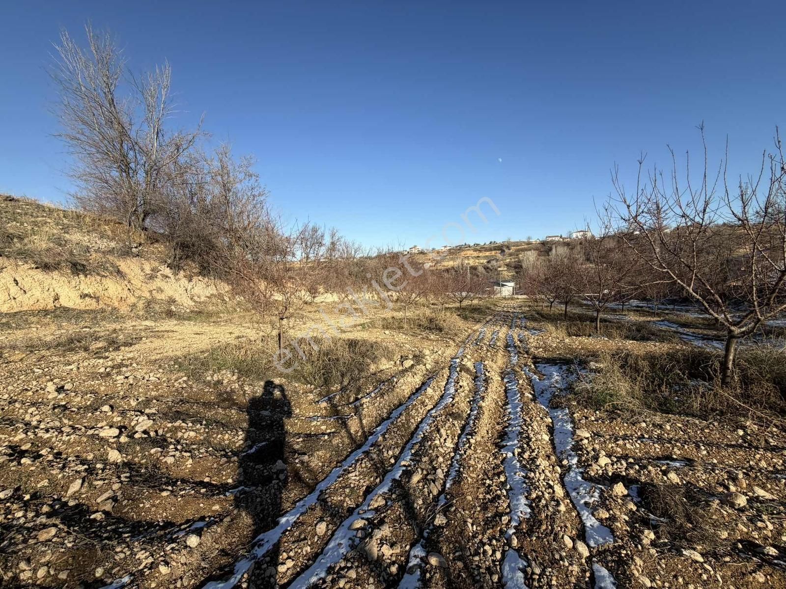 Şahnahan Merezde İmar Aşamasında Satılık Yatırımlık Bahçe - Görsel 20