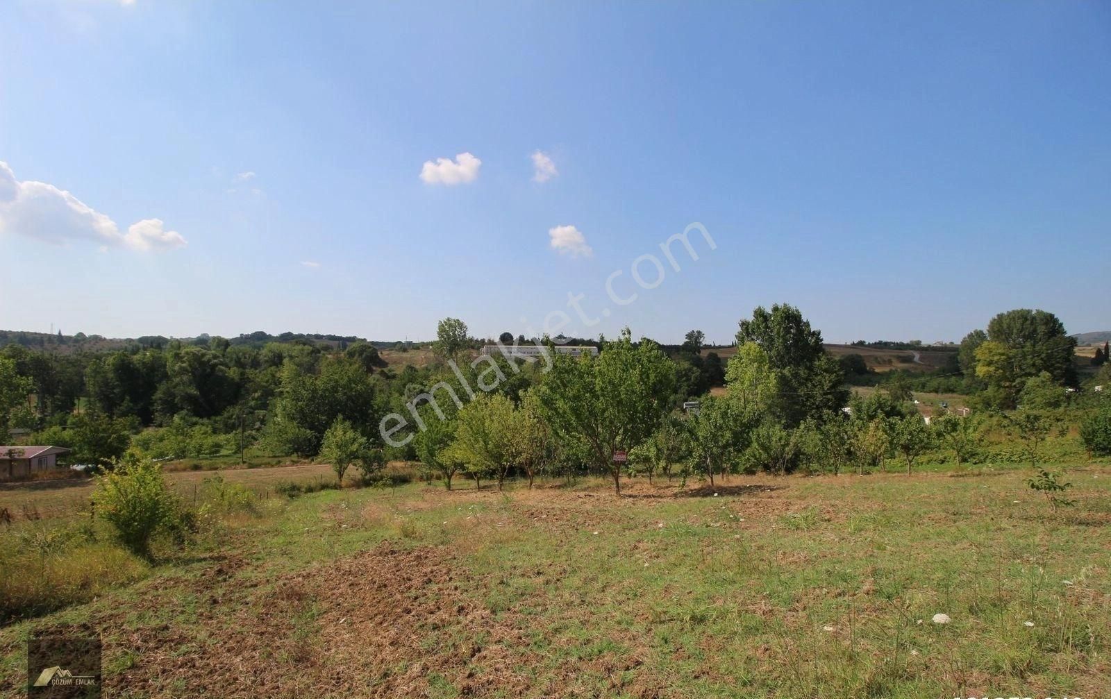 Avcıköy'de %5 İmarlı 2197m2 Mütiş Doğa Manzaralı Meyve Bahçesi, Yol,su,elektrik Mevcut - Görsel 3