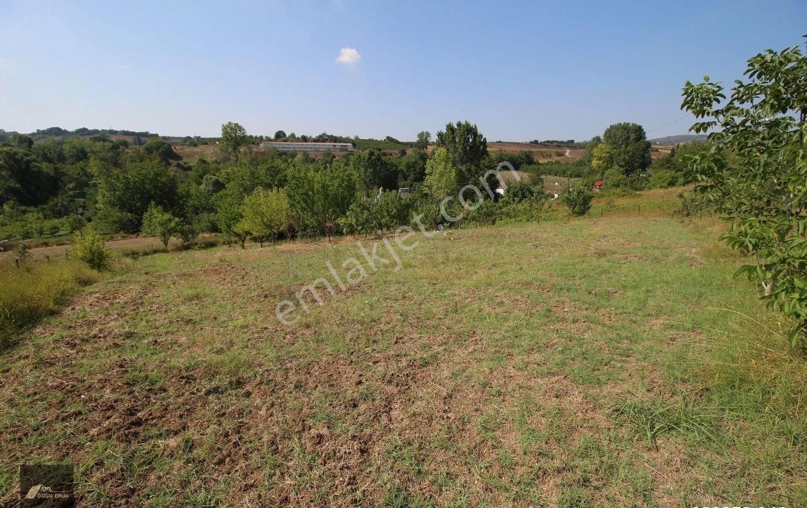 Avcıköy'de %5 İmarlı 2197m2 Mütiş Doğa Manzaralı Meyve Bahçesi, Yol,su,elektrik Mevcut