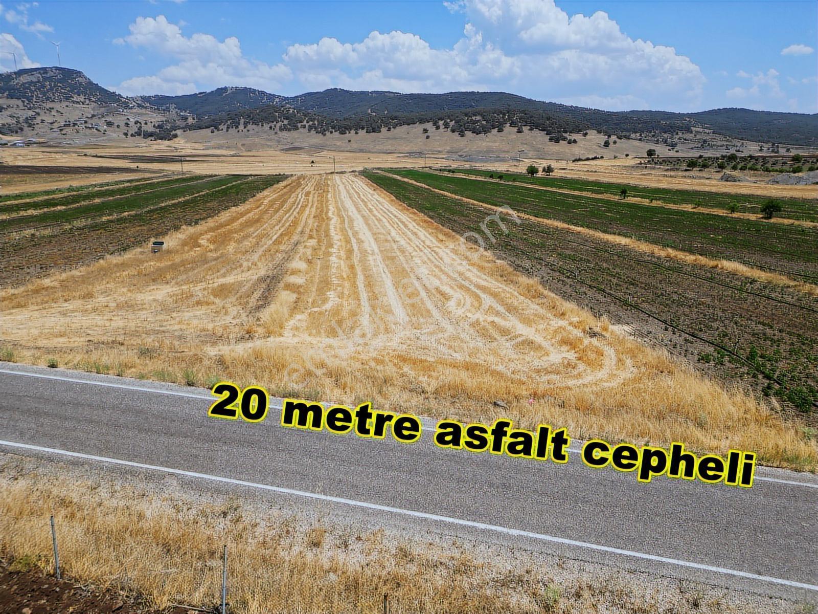 Nurdağı Kırkpınar Asfaltta,su Başında,çiftçiliğe , Takas Açık
