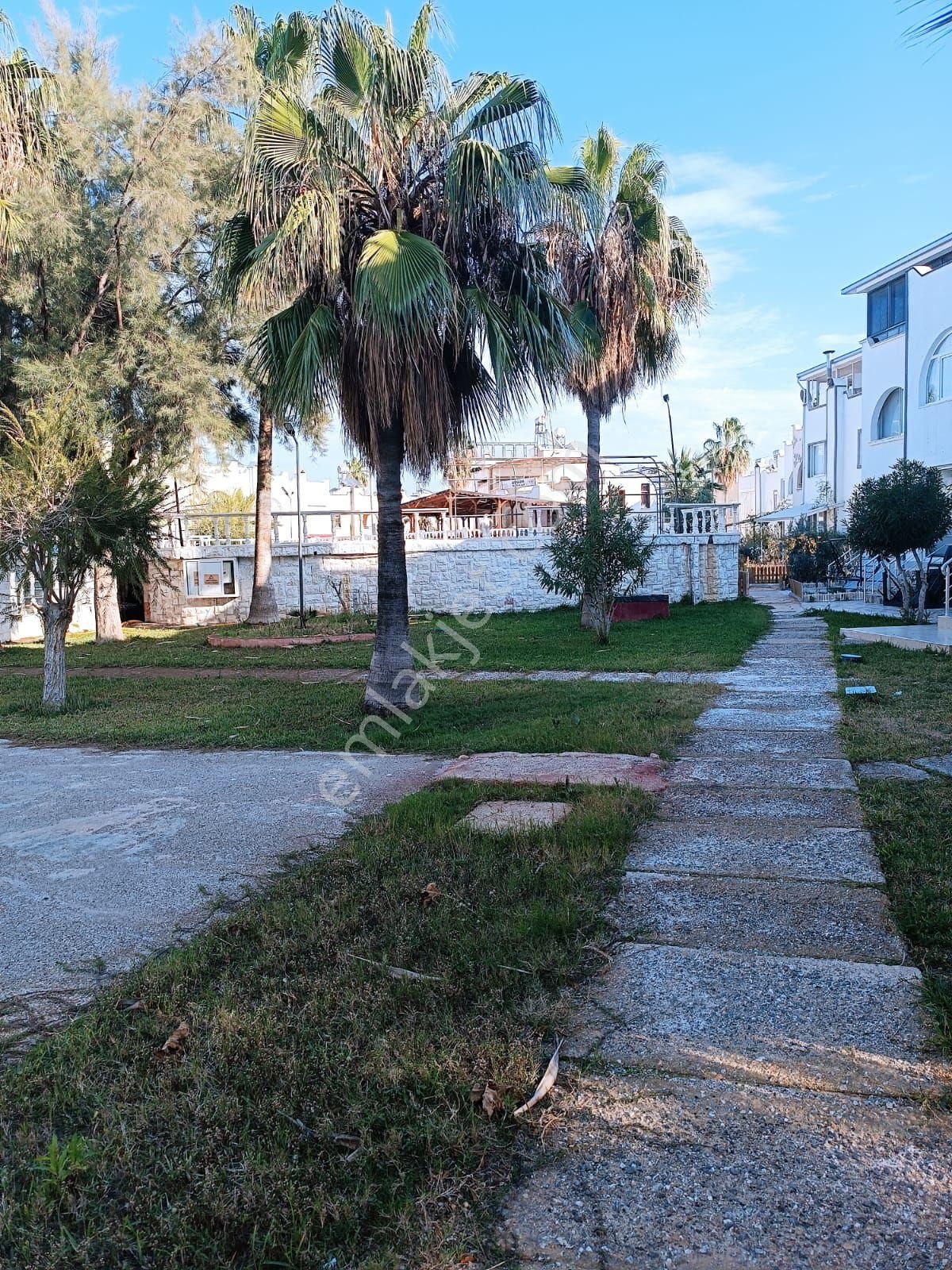 Mersin Susanoğlu Bakalnlıklarda Yazlık - Görsel 11