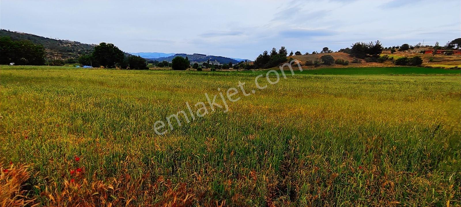 Gördes'te Satılık Merkeze Yakın 20 Dönüm Düz Tarla - Görsel 18