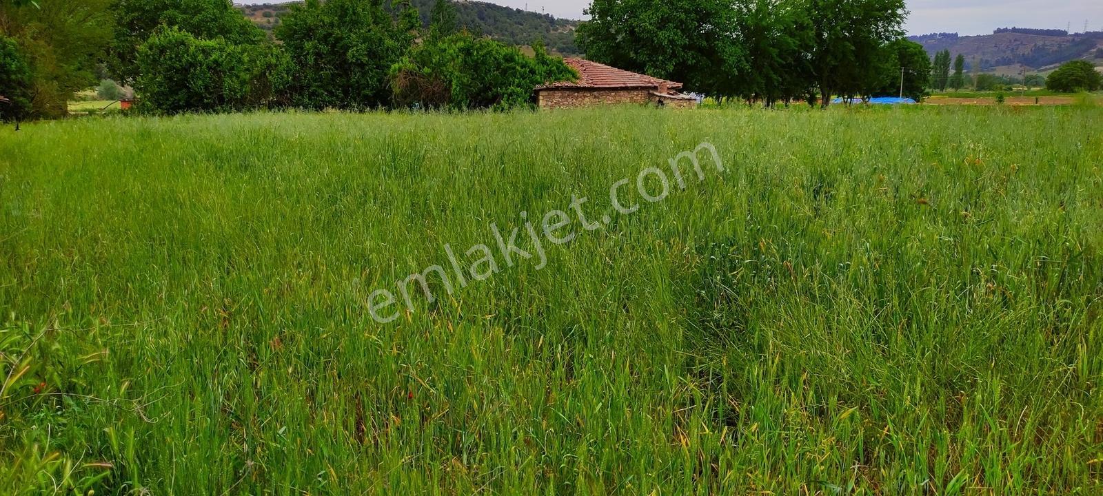 Gördes'te Satılık Merkeze Yakın 20 Dönüm Düz Tarla - Görsel 7