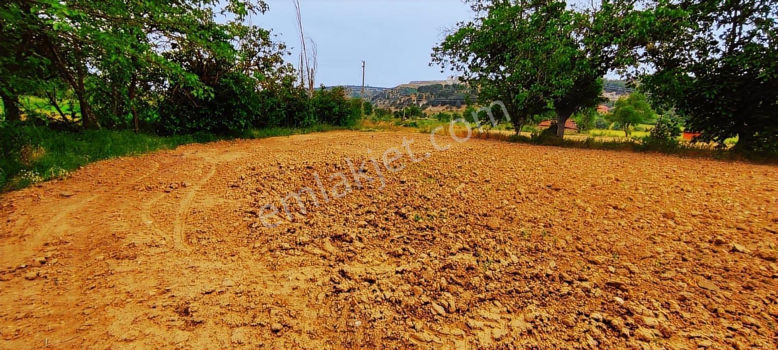 Gördes'te Satılık Merkeze Yakın 20 Dönüm Düz Tarla - Görsel 13