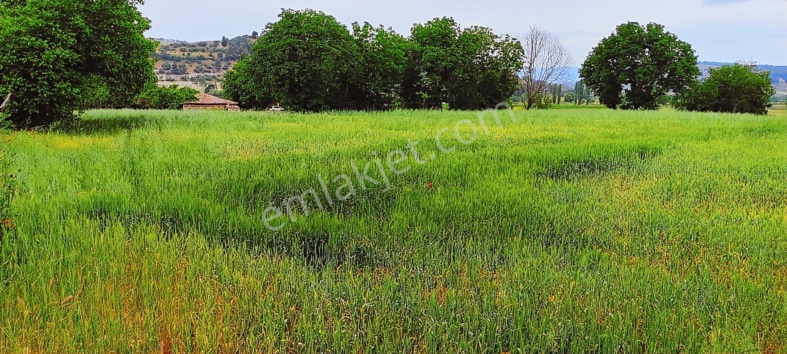 Gördes'te Satılık Merkeze Yakın 20 Dönüm Düz Tarla - Görsel 25