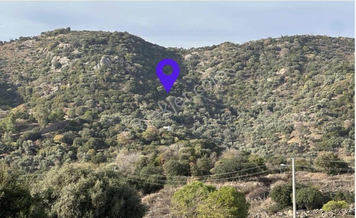 Bodrum Gürecede 12.547 M² Tek Tapu Tarla | Yatırımlık Fırsat - Görsel 4