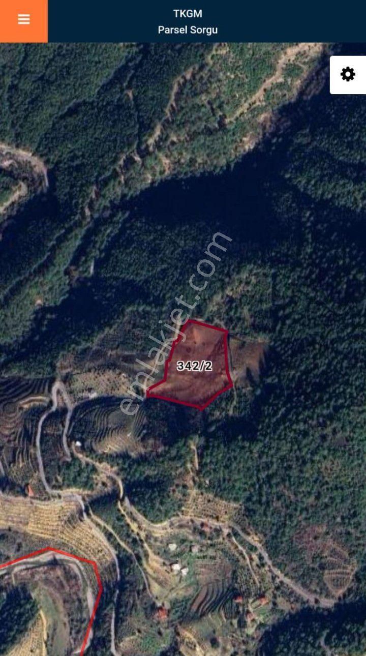 18 Dönüm.. Acil İhtiyaçtan - Görsel 3