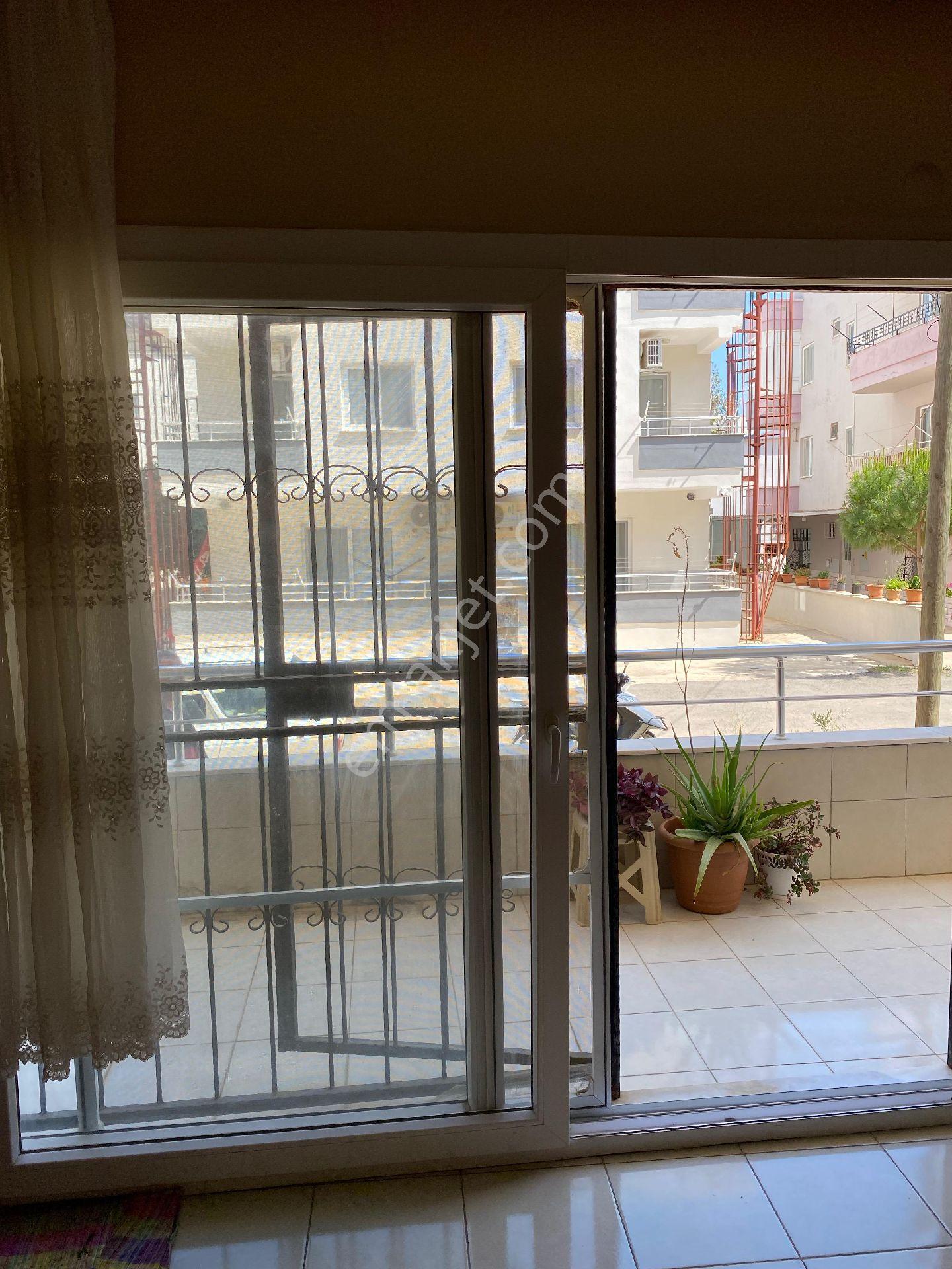 Mersin Susanoğlu - Görsel 9