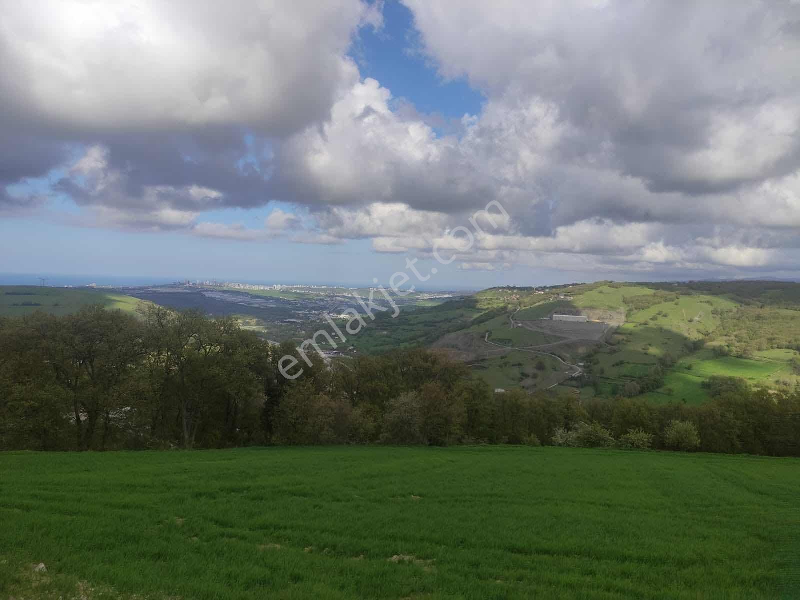 Atakum Sarıışıkta Full Deniz Manzaralı Yolu Açılmış 8355m2 Tarla - Görsel 9