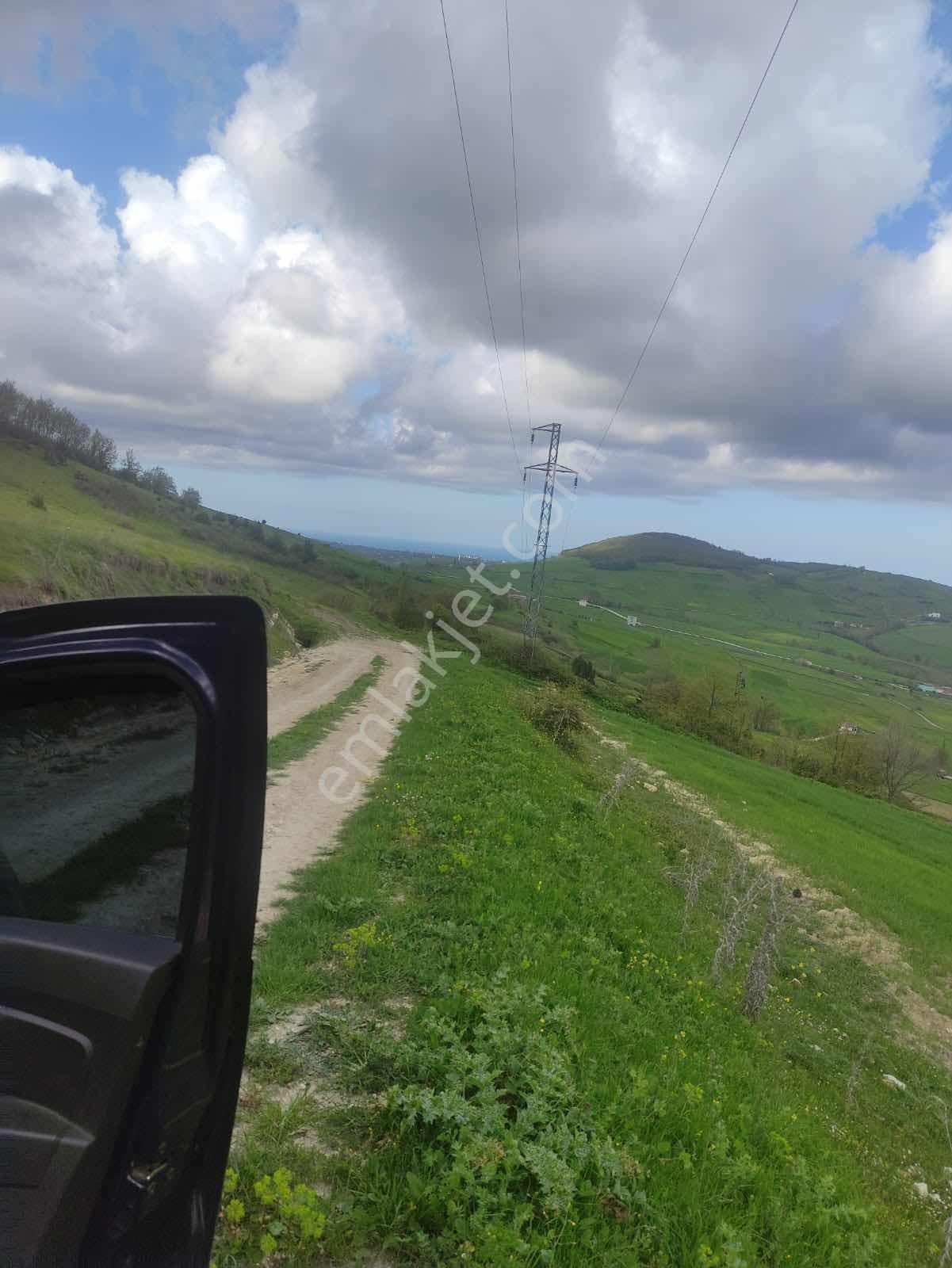 Atakum Sarıışıkta Full Deniz Manzaralı Yolu Açılmış 8355m2 Tarla - Görsel 20