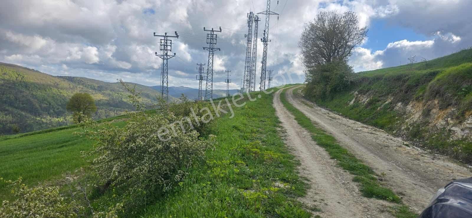 Atakum Sarıışıkta Full Deniz Manzaralı Yolu Açılmış 8355m2 Tarla - Görsel 16