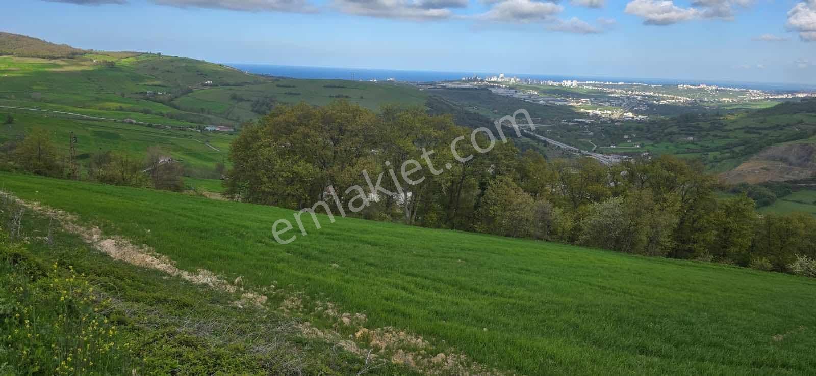 Atakum Sarıışıkta Full Deniz Manzaralı Yolu Açılmış 8355m2 Tarla - Görsel 13