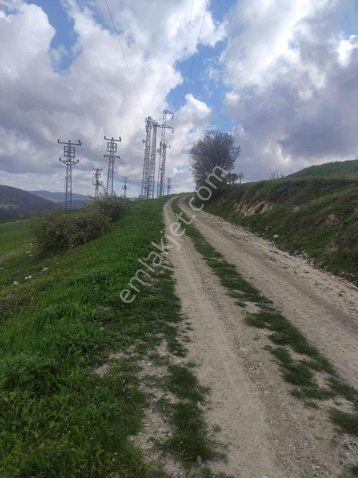 Atakum Sarıışıkta Full Deniz Manzaralı Yolu Açılmış 8355m2 Tarla - Görsel 17