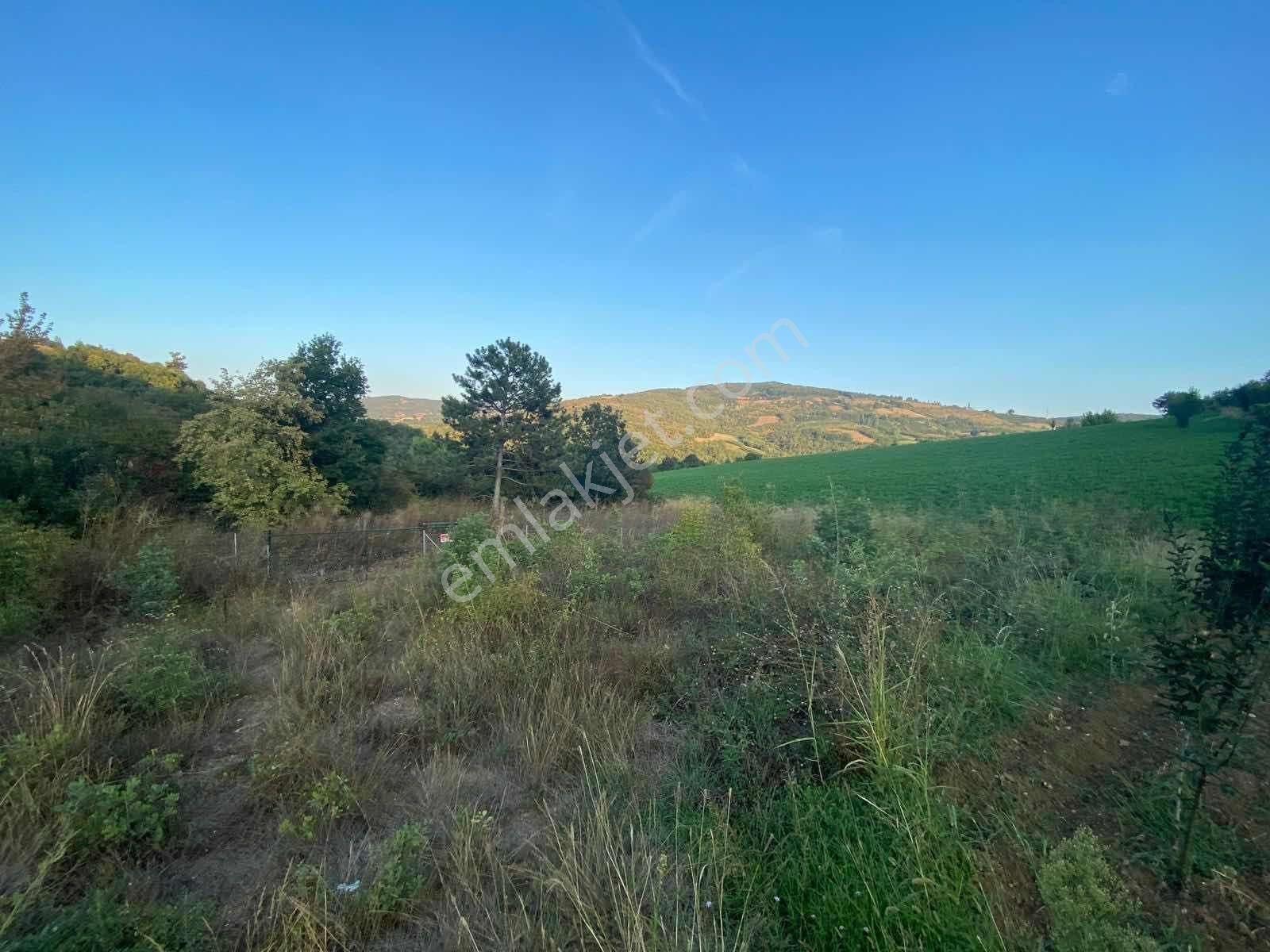 Aksu'da Satılık 252m² Tarla