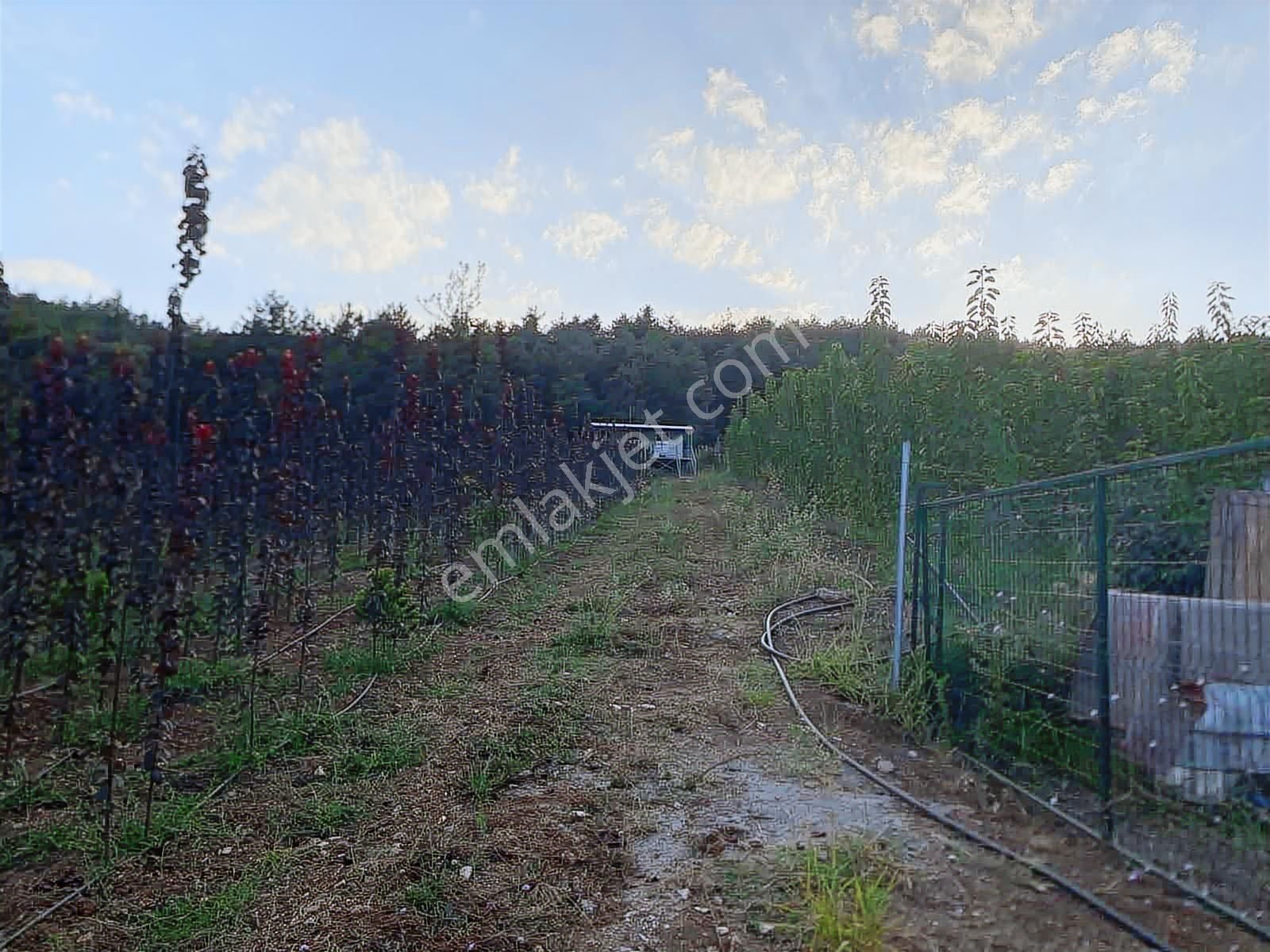 Aksu'da Satılık 252m² Tarla - Görsel 7