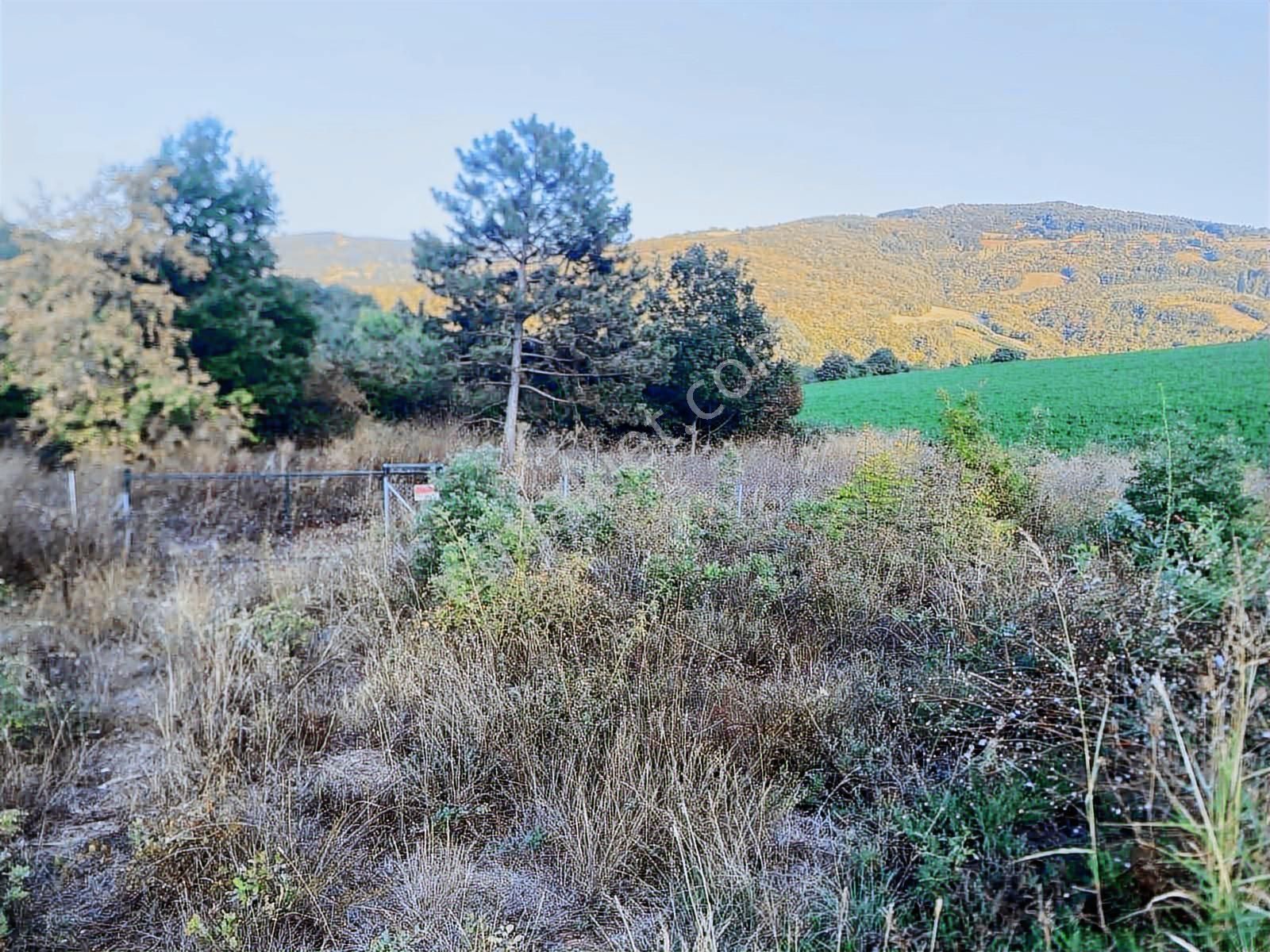 Aksu'da Satılık 252m² Tarla - Görsel 3