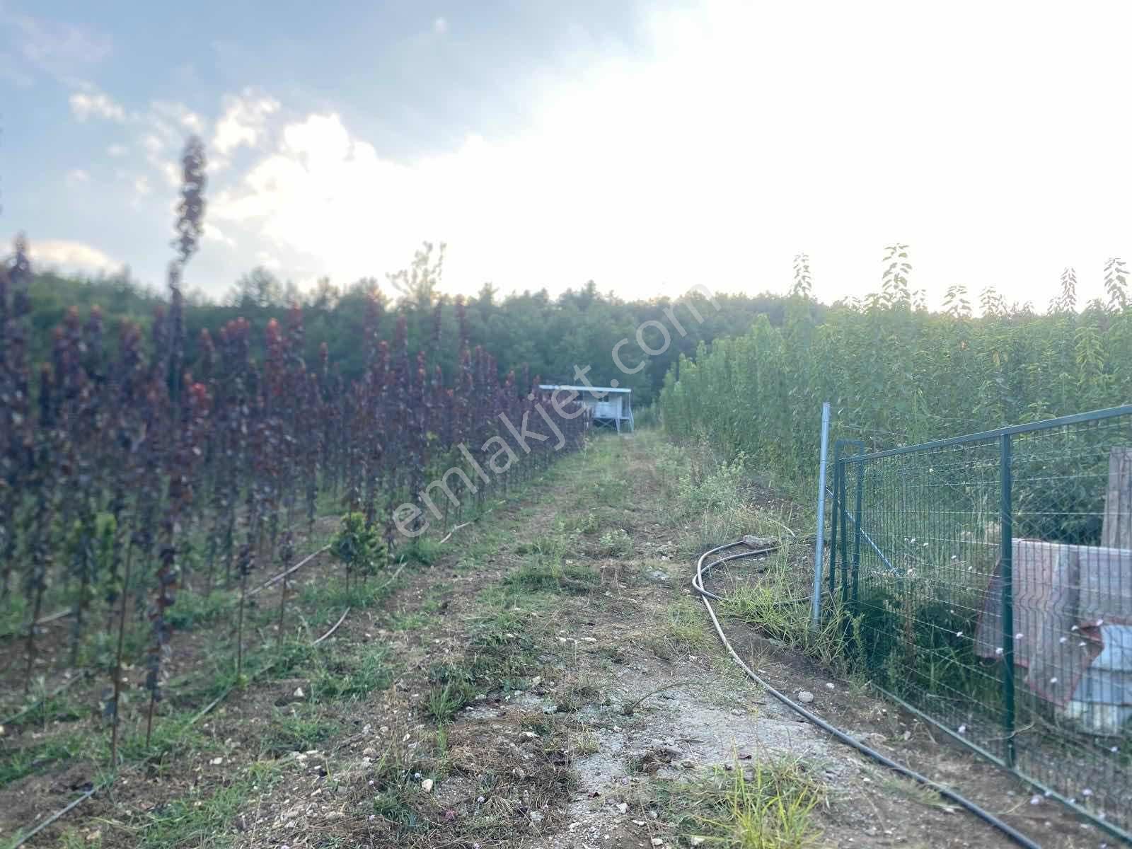 Aksu'da Satılık 252m² Tarla - Görsel 2