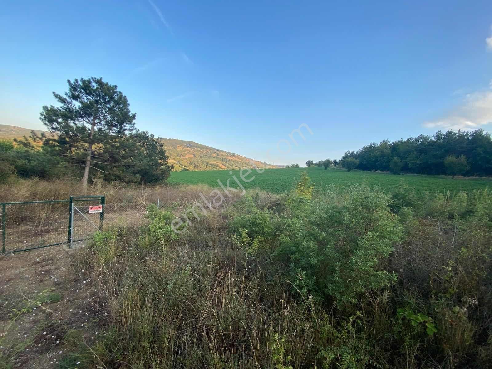 Aksu'da Satılık 252m² Tarla - Görsel 13