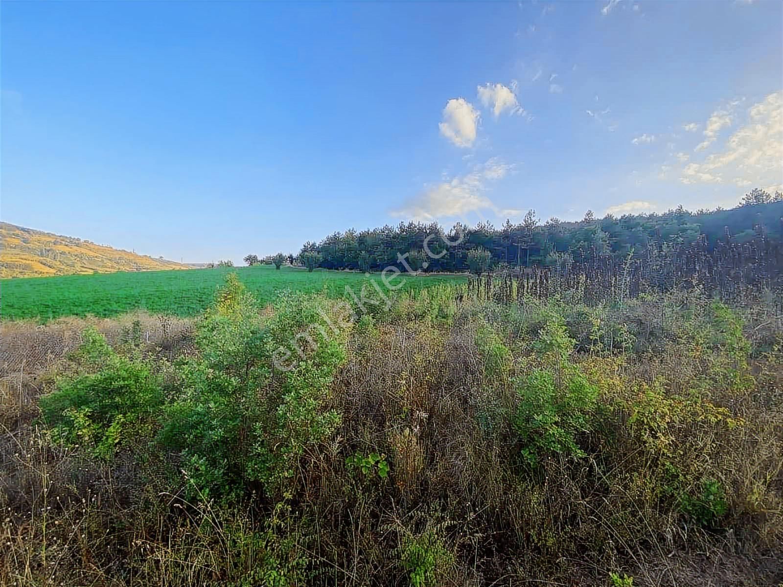 Aksu'da Satılık 252m² Tarla - Görsel 11