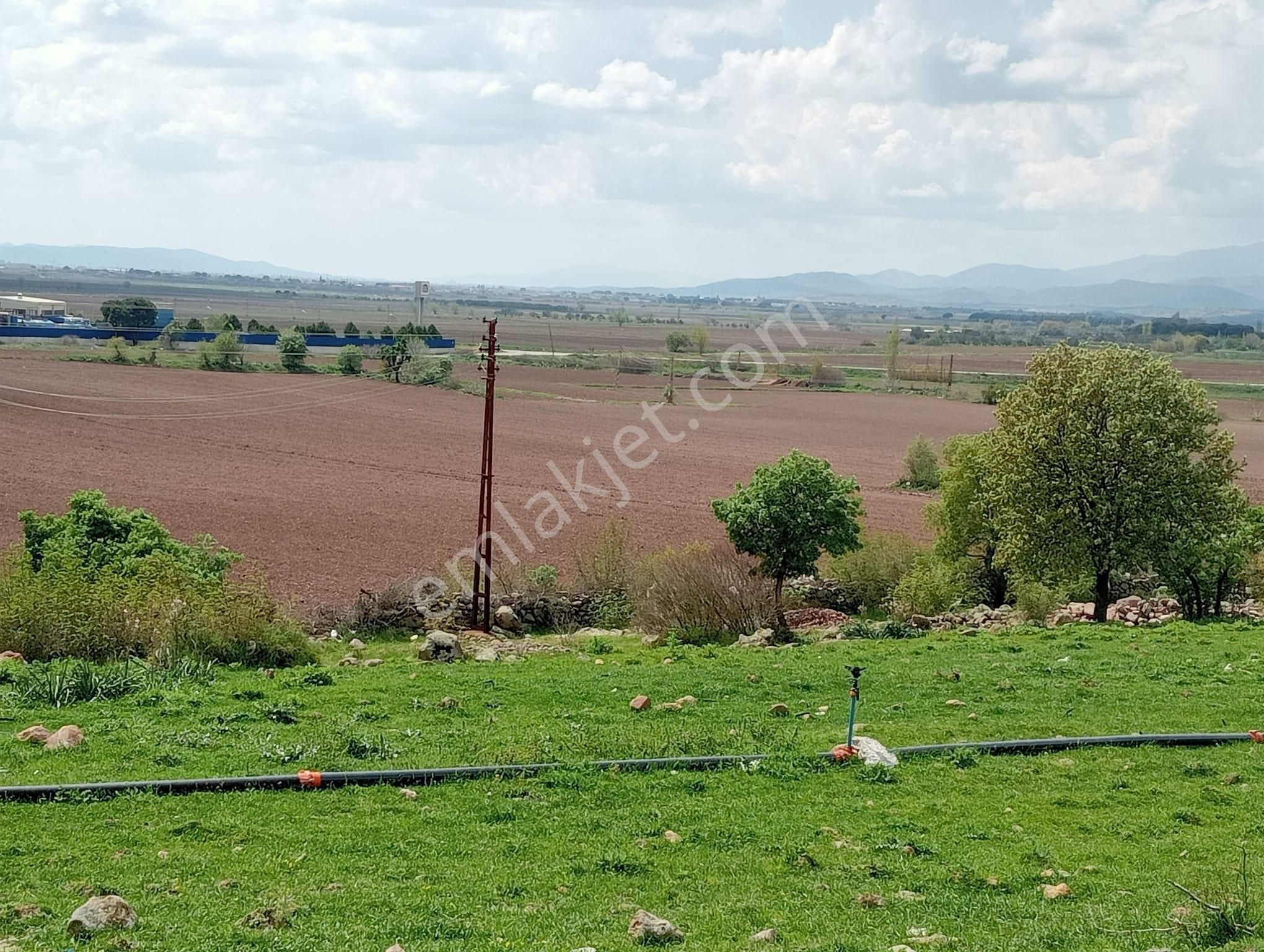 Göçbeyli'de 9250 M2 Köye Yakın Sulu Tarla ( Zeytinlik) - Görsel 6