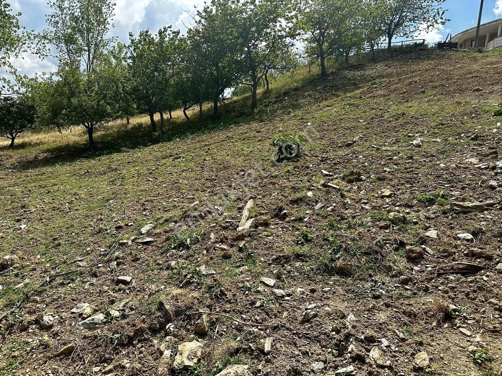 İznik Hacıosman Köyünde 7 Parselden Oluşan Toplam 2323 M2 Arsa - Görsel 24