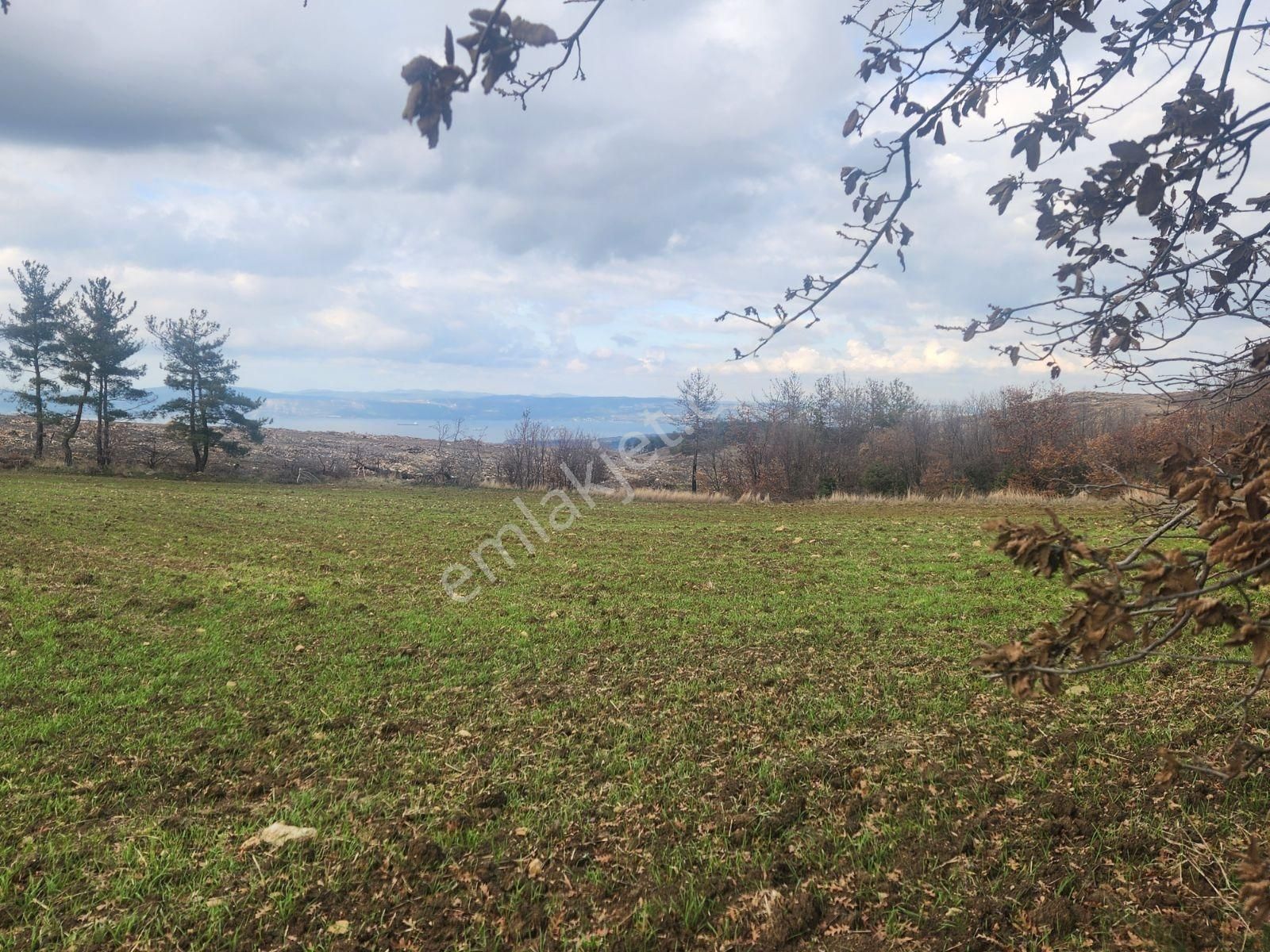 Çanakkale Merkez Yukarıokçular Boğaz Manzaralı 9 Dönüm Tarla. - Görsel 14