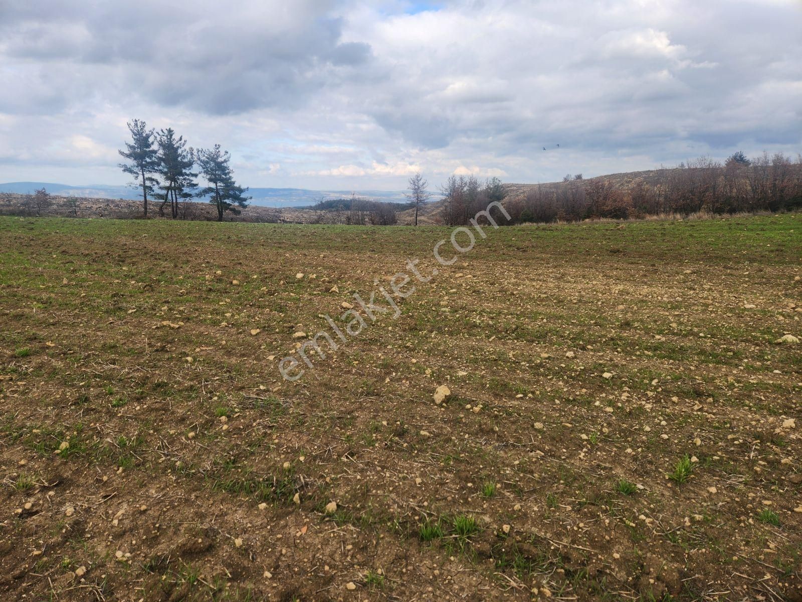 Çanakkale Merkez Yukarıokçular Boğaz Manzaralı 9 Dönüm Tarla. - Görsel 16