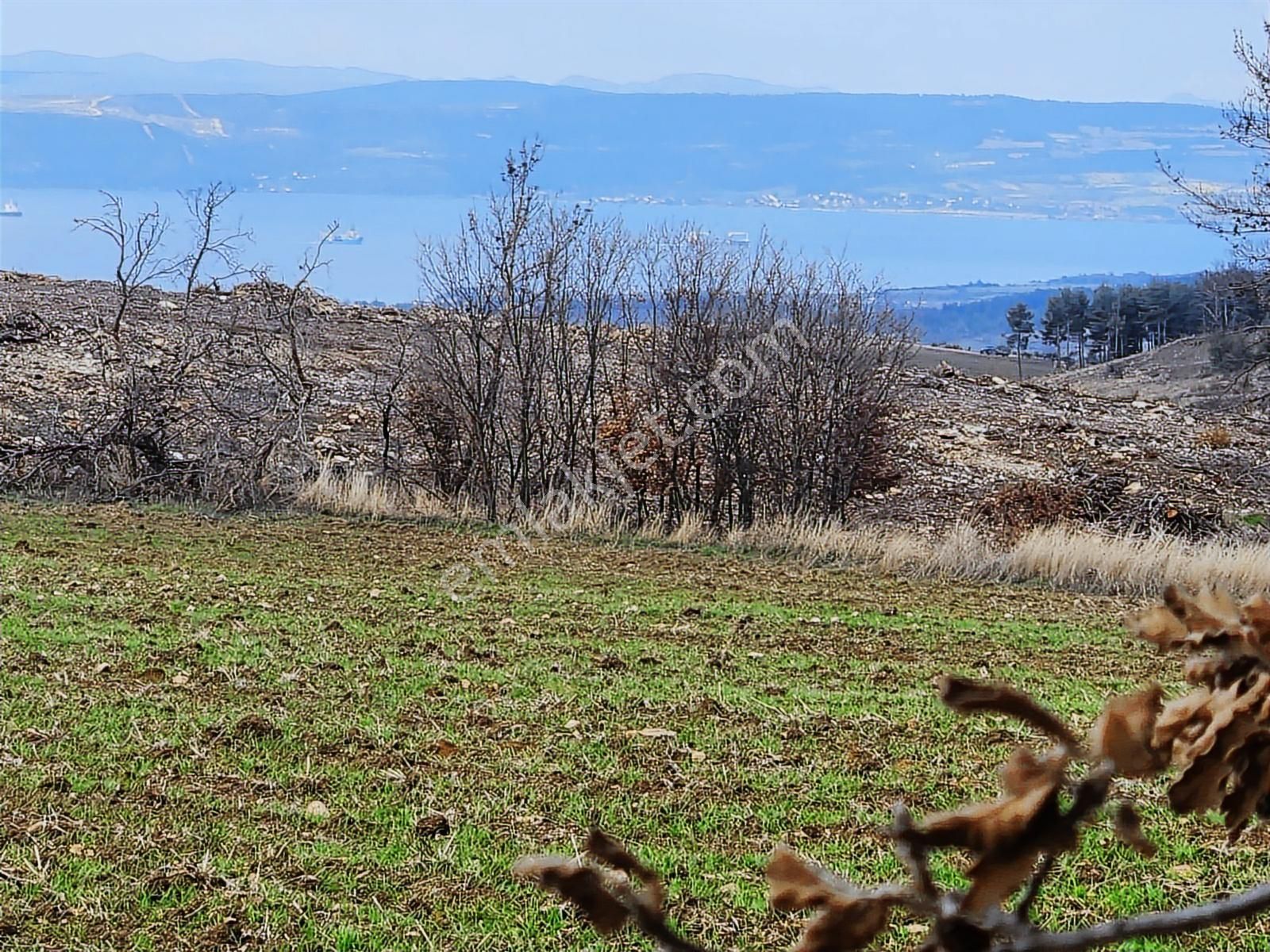 Çanakkale Merkez Yukarıokçular Boğaz Manzaralı 9 Dönüm Tarla.