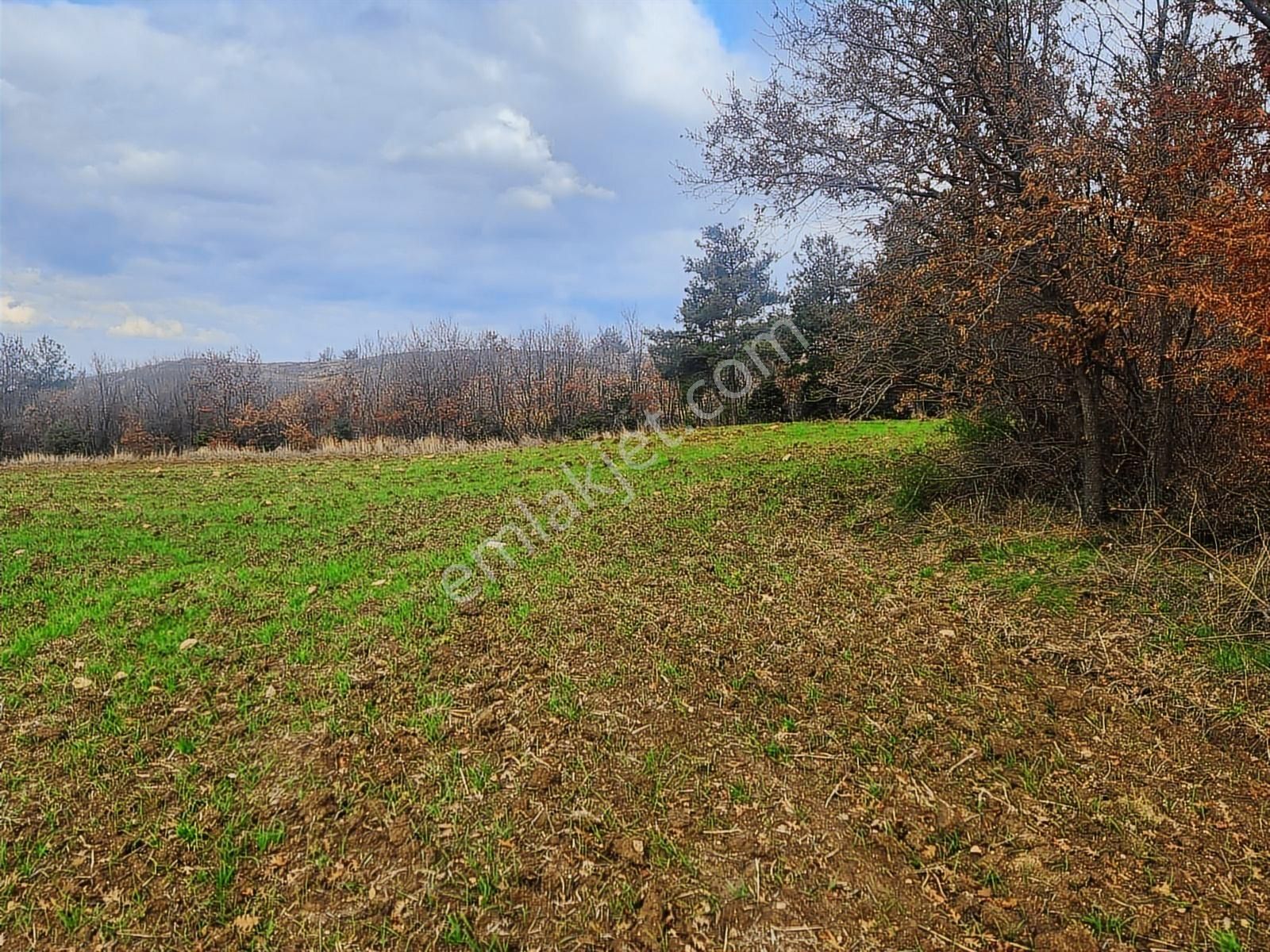 Çanakkale Merkez Yukarıokçular Boğaz Manzaralı 9 Dönüm Tarla. - Görsel 9
