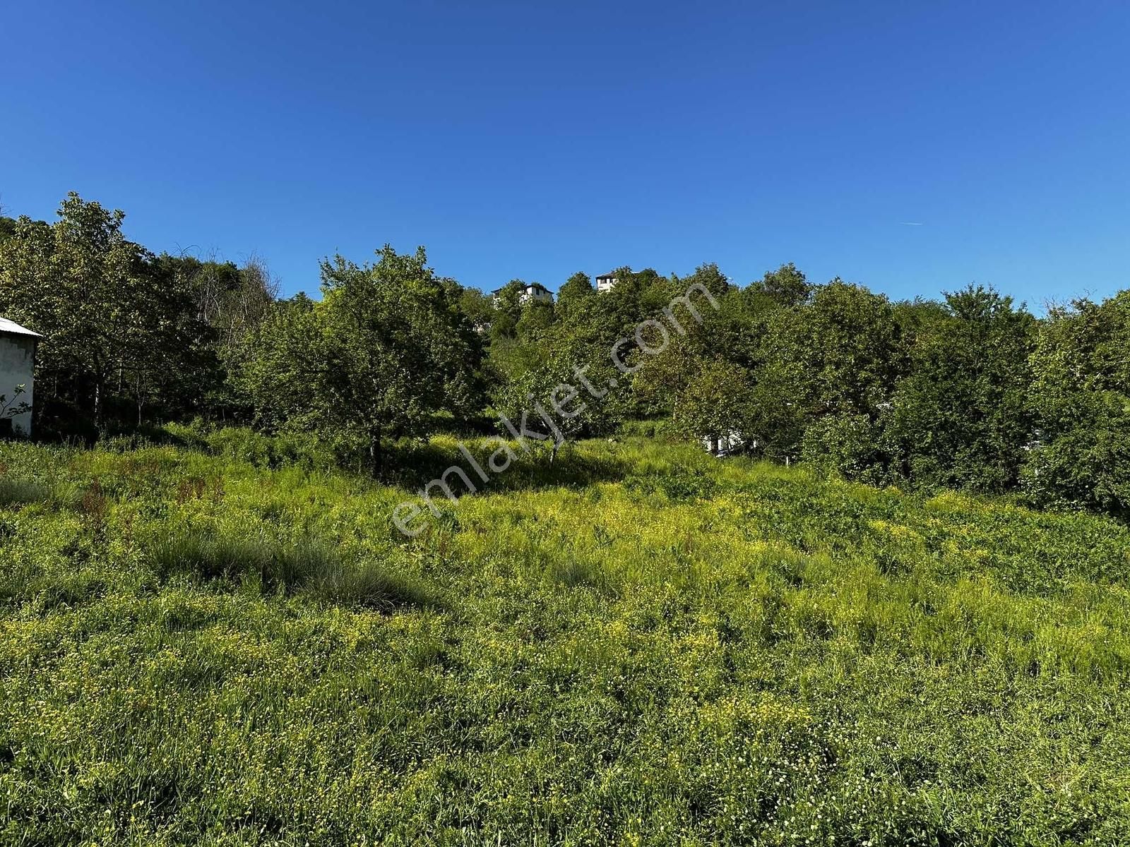 Osmaniye'de Yayla Havasında 250 M2 Yapı İzinli 592 M2 Arsa - Görsel 21