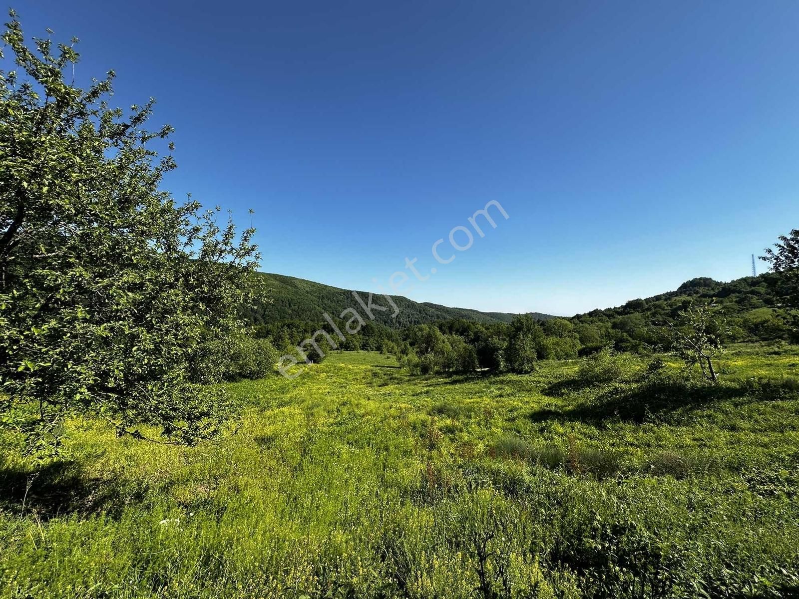 Osmaniye'de Yayla Havasında 250 M2 Yapı İzinli 592 M2 Arsa - Görsel 18