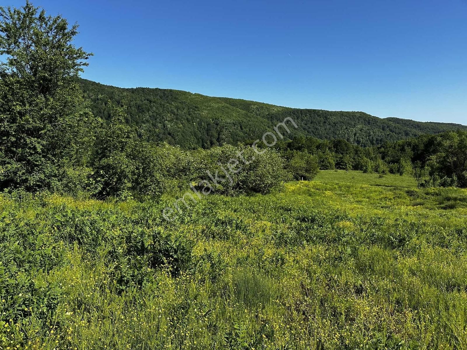 Osmaniye'de Yayla Havasında 250 M2 Yapı İzinli 592 M2 Arsa - Görsel 2