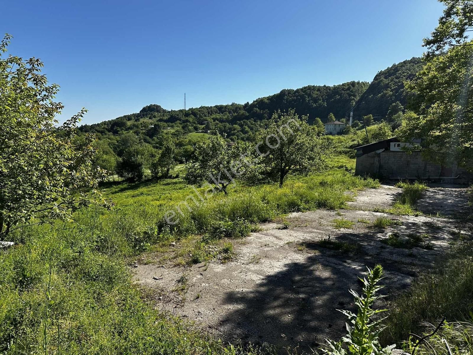 Osmaniye'de Yayla Havasında 250 M2 Yapı İzinli 592 M2 Arsa - Görsel 34