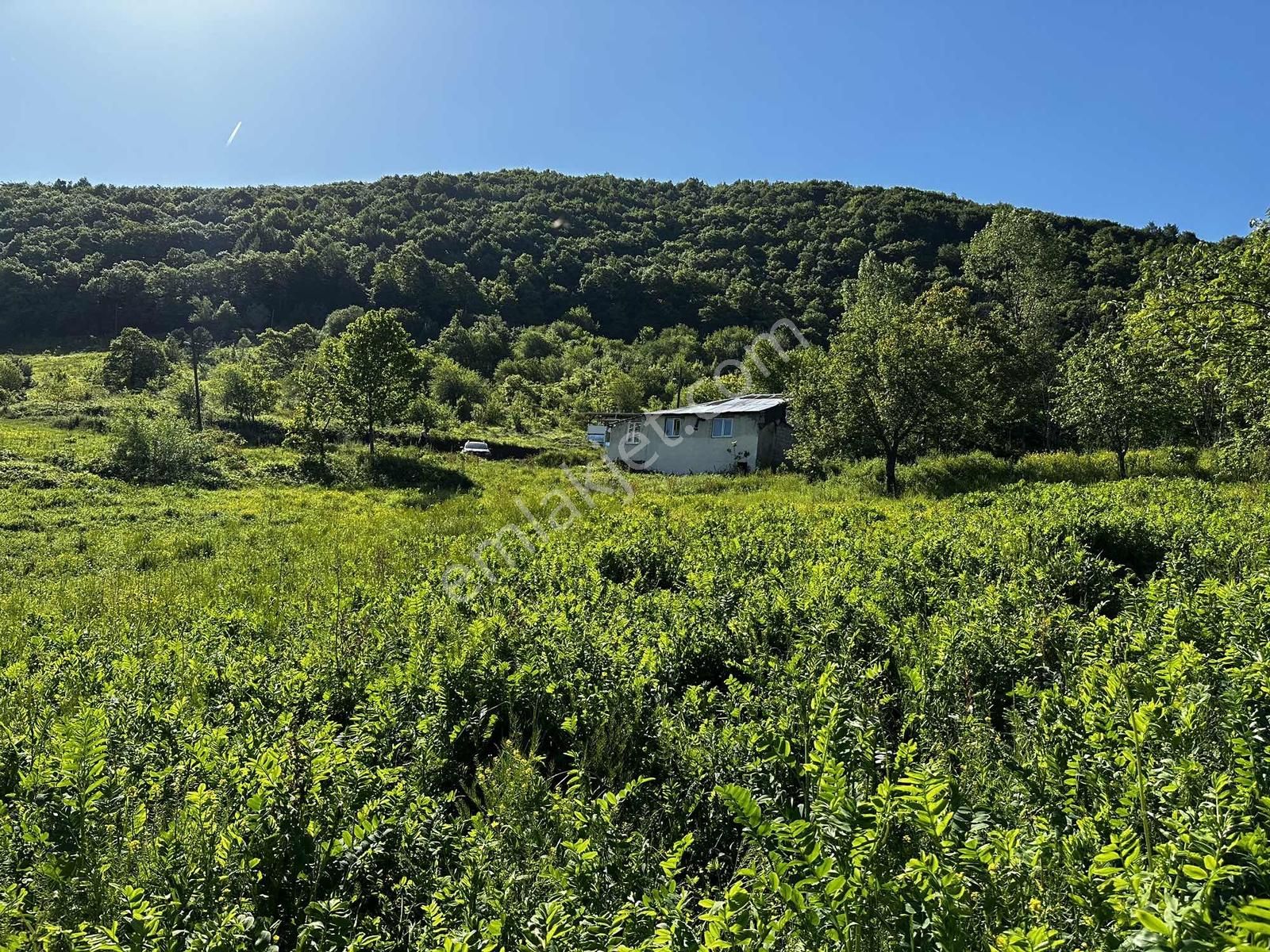 Osmaniye'de Yayla Havasında 250 M2 Yapı İzinli 592 M2 Arsa - Görsel 13