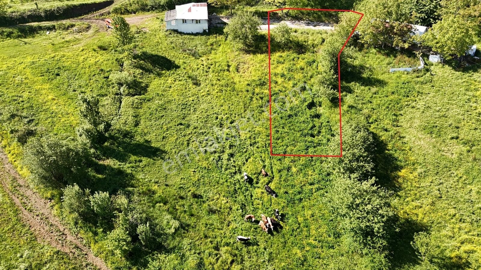 Osmaniye'de Yayla Havasında 250 M2 Yapı İzinli 592 M2 Arsa