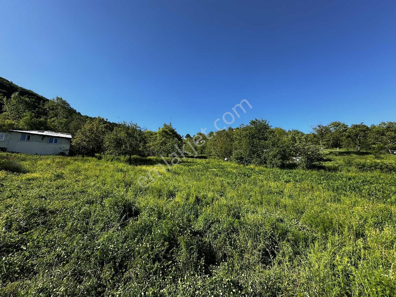 Osmaniye'de Yayla Havasında 250 M2 Yapı İzinli 592 M2 Arsa - Görsel 6