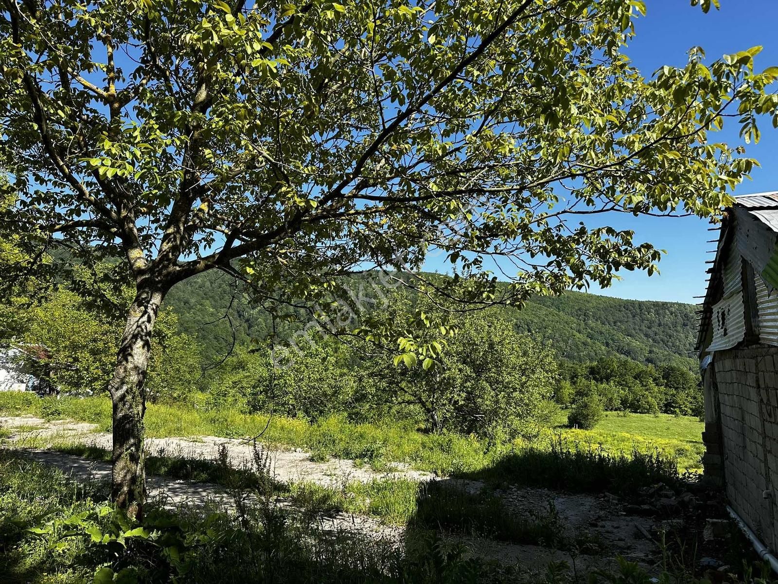 Osmaniye'de Yayla Havasında 250 M2 Yapı İzinli 592 M2 Arsa - Görsel 4
