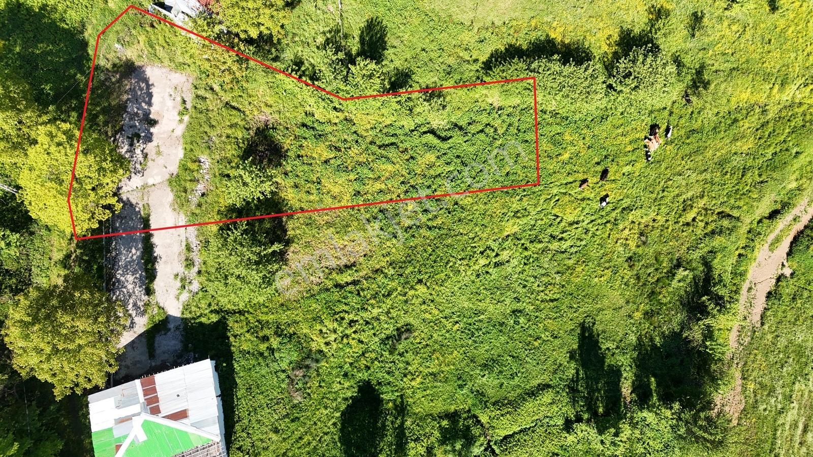 Osmaniye'de Yayla Havasında 250 M2 Yapı İzinli 592 M2 Arsa - Görsel 6