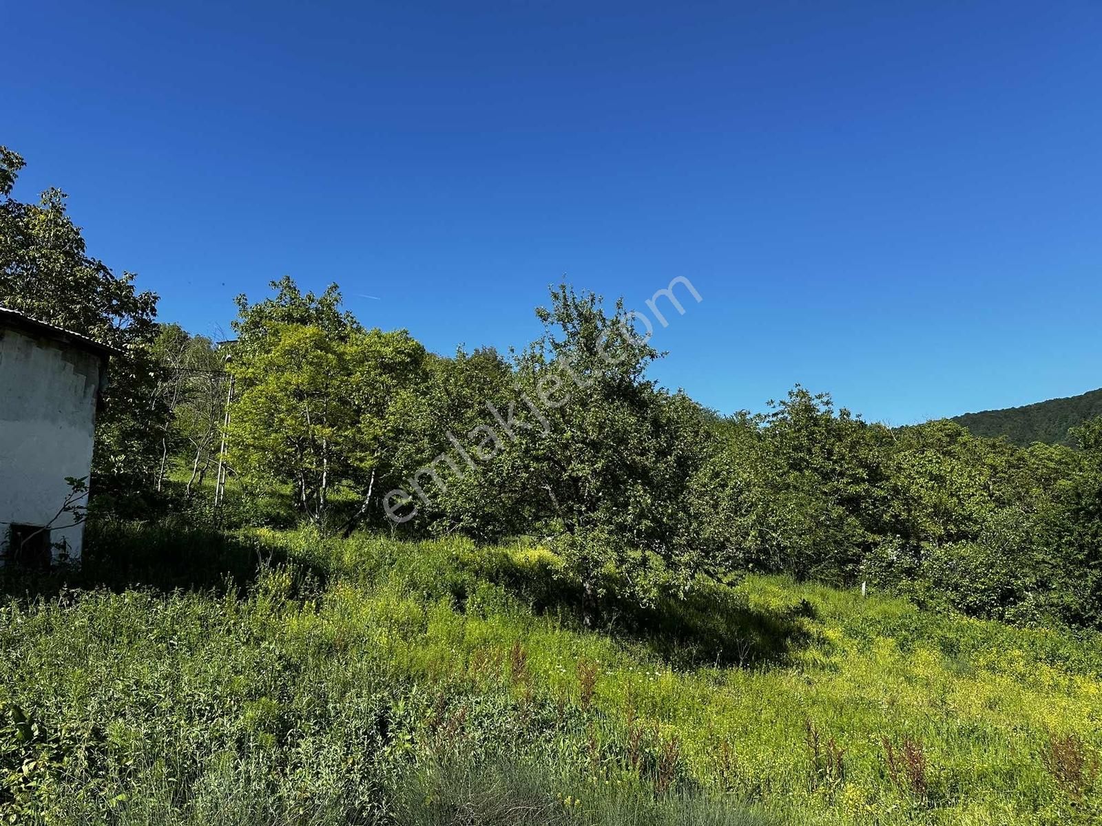 Osmaniye'de Yayla Havasında 250 M2 Yapı İzinli 592 M2 Arsa - Görsel 23