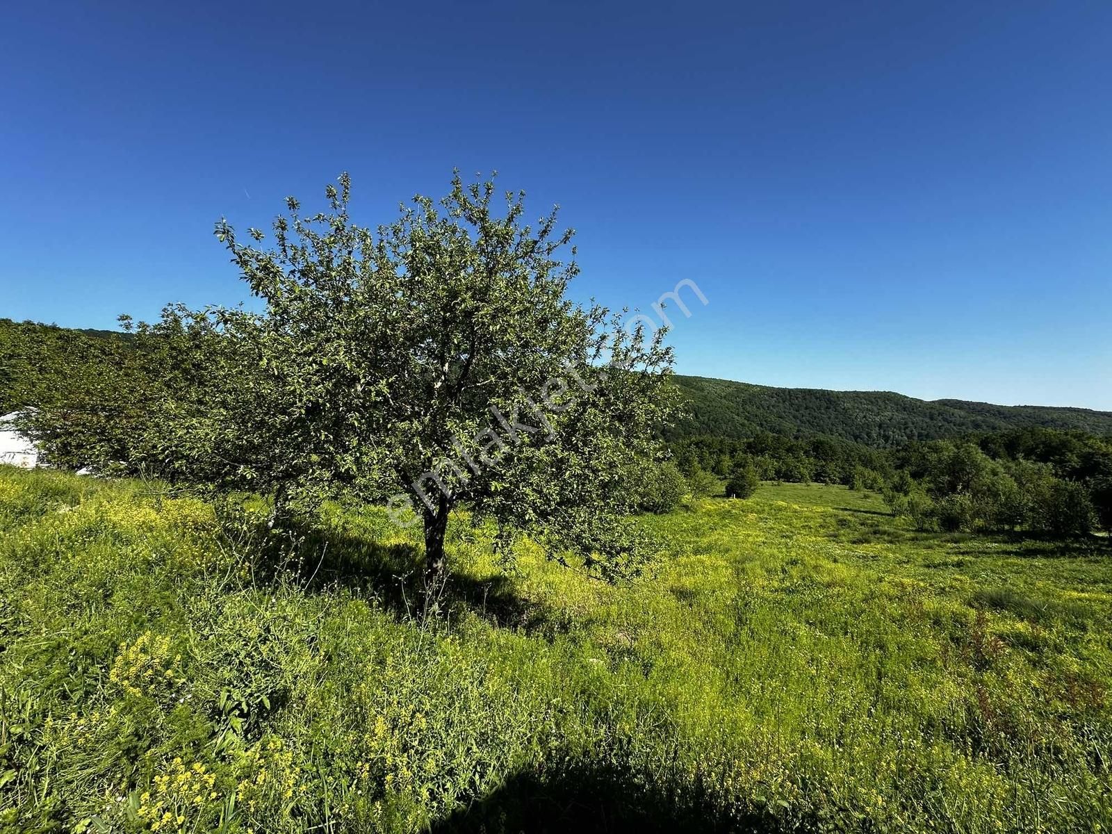 Osmaniye'de Yayla Havasında 250 M2 Yapı İzinli 592 M2 Arsa - Görsel 24