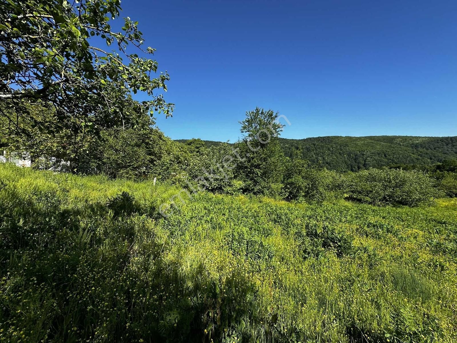 Osmaniye'de Yayla Havasında 250 M2 Yapı İzinli 592 M2 Arsa - Görsel 12