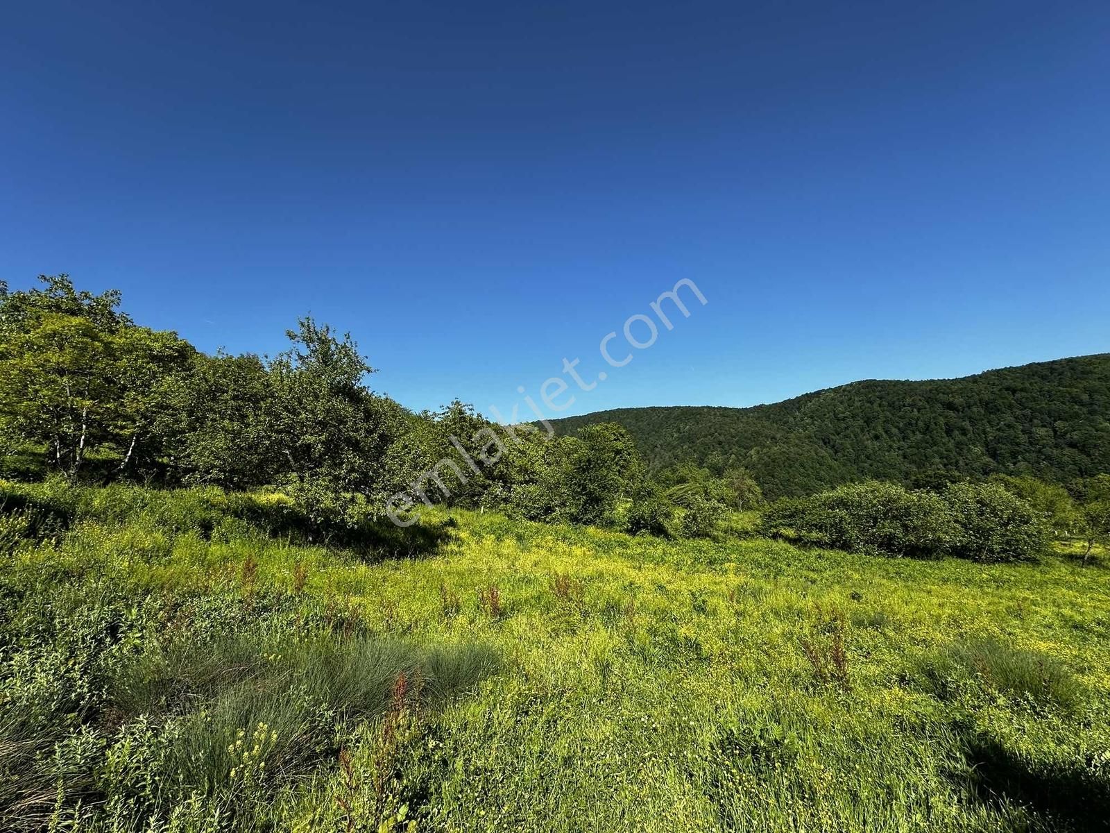 Osmaniye'de Yayla Havasında 250 M2 Yapı İzinli 592 M2 Arsa - Görsel 10